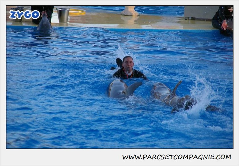 Marineland - Dauphins - Spectacle 17h30 - 0241
