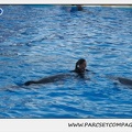 Marineland - Dauphins - Spectacle 17h30 - 0242