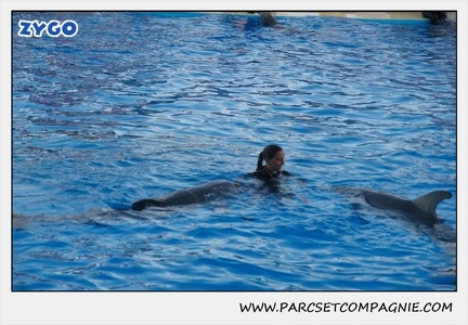 Marineland - Dauphins - Spectacle 17h30 - 0242