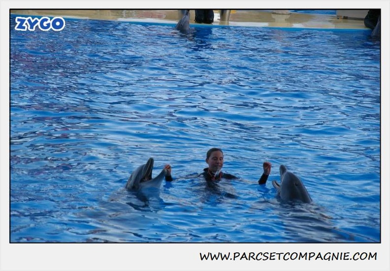 Marineland - Dauphins - Spectacle 17h30 - 0243