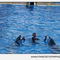 Marineland - Dauphins - Spectacle 17h30 - 0243