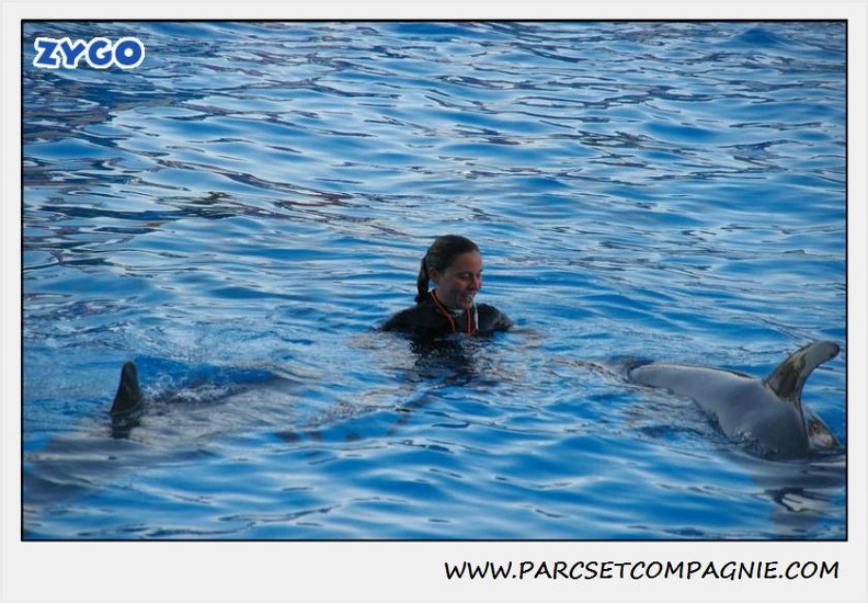 Marineland - Dauphins - Spectacle 17h30 - 0244