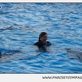Marineland - Dauphins - Spectacle 17h30 - 0244