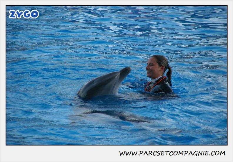 Marineland - Dauphins - Spectacle 17h30 - 0246