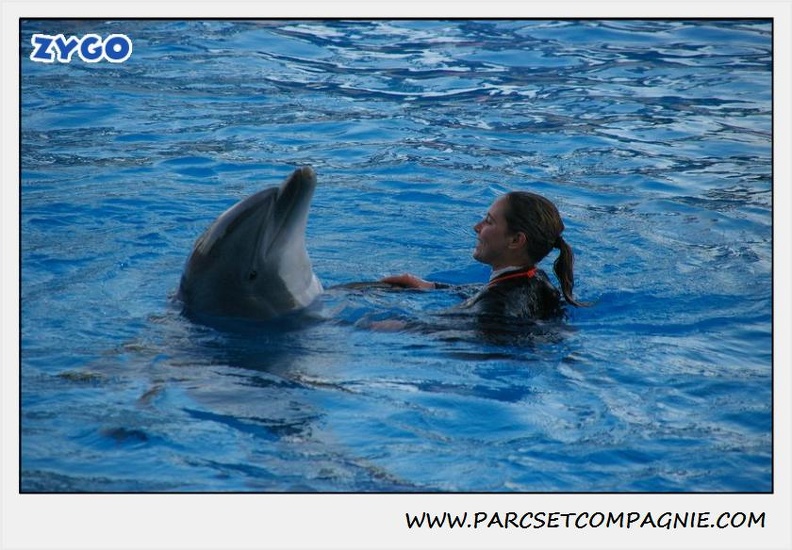 Marineland - Dauphins - Spectacle 17h30 - 0247