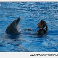 Marineland - Dauphins - Spectacle 17h30 - 0247
