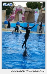 Marineland - Dauphins - Spectacle 17h30 - 0248