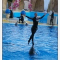 Marineland - Dauphins - Spectacle 17h30 - 0248
