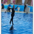 Marineland - Dauphins - Spectacle 17h30 - 0249