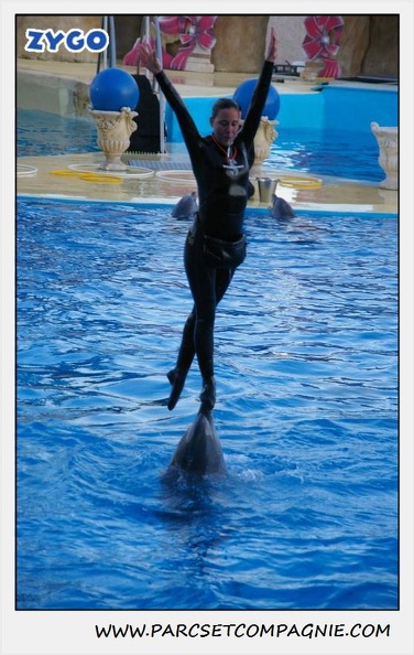 Marineland - Dauphins - Spectacle 17h30 - 0250