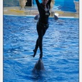 Marineland - Dauphins - Spectacle 17h30 - 0250