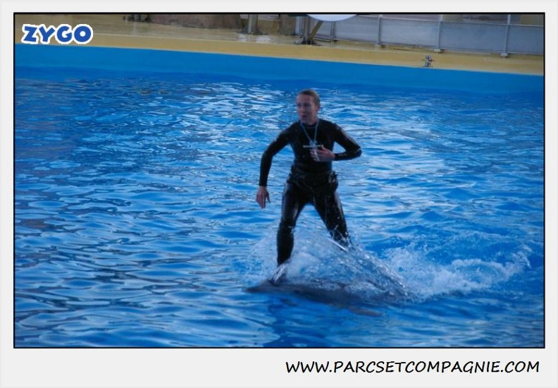 Marineland - Dauphins - Spectacle 17h30 - 0251