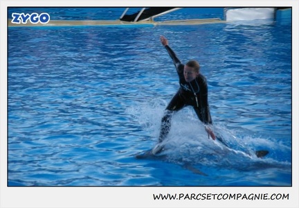 Marineland - Dauphins - Spectacle 17h30 - 0252