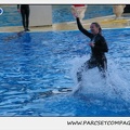 Marineland - Dauphins - Spectacle 17h30 - 0253