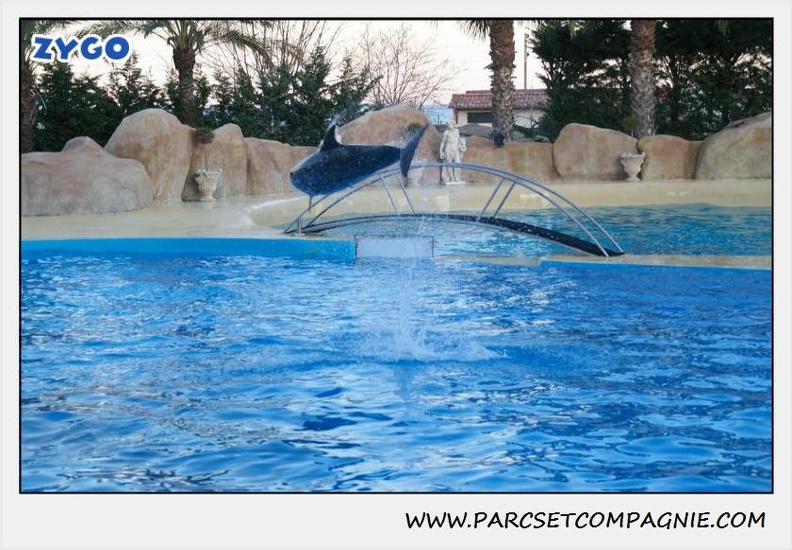 Marineland - Dauphins - Spectacle 17h30 - 0254
