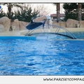Marineland - Dauphins - Spectacle 17h30 - 0254