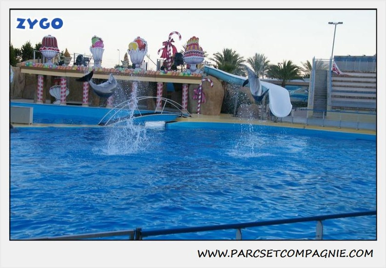 Marineland - Dauphins - Spectacle 17h30 - 0256