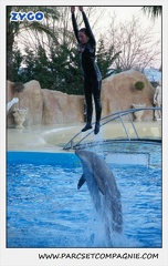 Marineland - Dauphins - Spectacle 17h30 - 0257