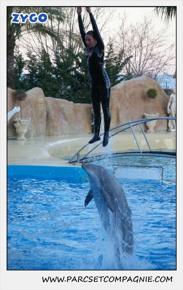 Marineland - Dauphins - Spectacle 17h30 - 0257
