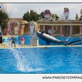 Marineland - Dauphins - Spectacle 14h30 - 0452