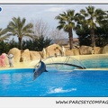 Marineland - Dauphins - Spectacle 14h30 - 0454