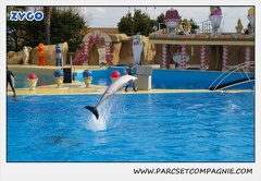 Marineland - Dauphins - Spectacle 14h30 - 0455