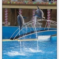 Marineland - Dauphins - Spectacle 14h30 - 0456