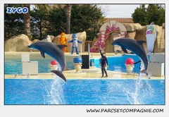 Marineland - Dauphins - Spectacle 14h30 - 0457