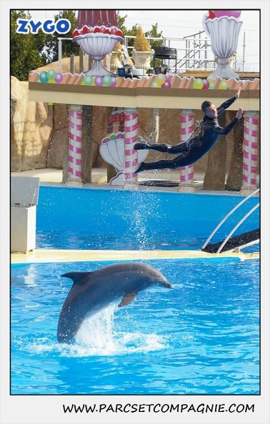 Marineland - Dauphins - Spectacle 14h30 - 0458