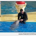 Marineland - Dauphins - Spectacle 14h30 - 0459
