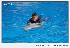 Marineland - Dauphins - Spectacle 14h30 - 0460
