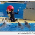 Marineland - Dauphins - Spectacle 14h30 - 0461