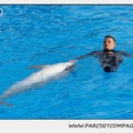 Marineland - Dauphins - Spectacle 14h30 - 0462