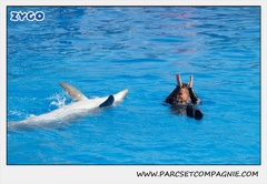 Marineland - Dauphins - Spectacle 14h30 - 0463