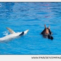Marineland - Dauphins - Spectacle 14h30 - 0463