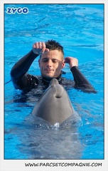 Marineland - Dauphins - Spectacle 14h30 - 0464