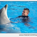 Marineland - Dauphins - Spectacle 14h30 - 0465