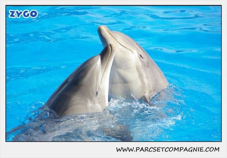 Marineland - Dauphins - Spectacle 14h30 - 0467