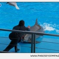 Marineland - Dauphins - Spectacle 14h30 - 0469