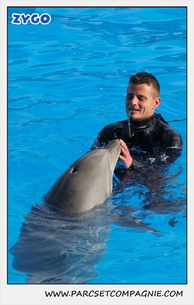 Marineland - Dauphins - Spectacle 14h30 - 0470