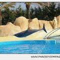 Marineland - Dauphins - Spectacle 14h30 - 0471