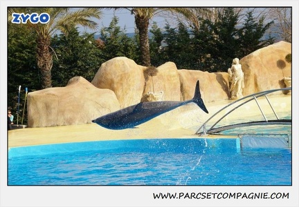 Marineland - Dauphins - Spectacle 14h30 - 0471