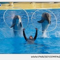 Marineland - Dauphins - Spectacle 14h30 - 0473
