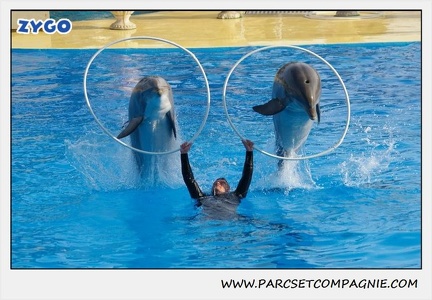 Marineland - Dauphins - Spectacle 14h30 - 0473
