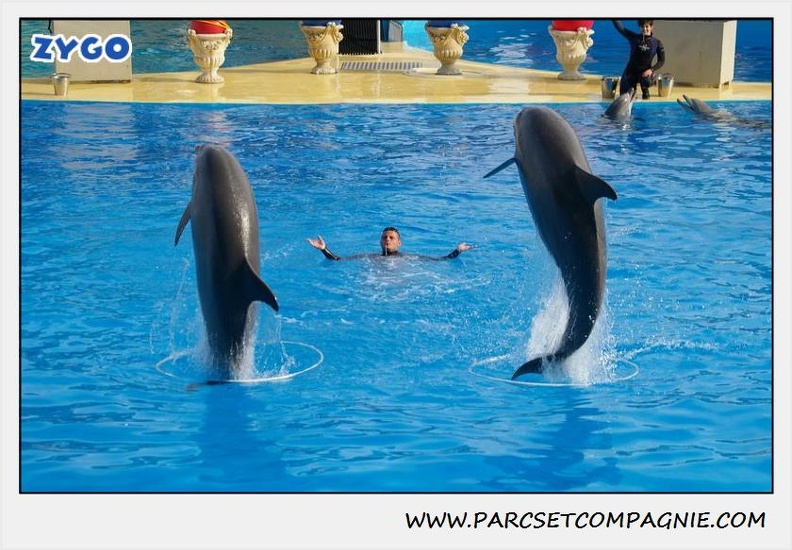 Marineland - Dauphins - Spectacle 14h30 - 0474