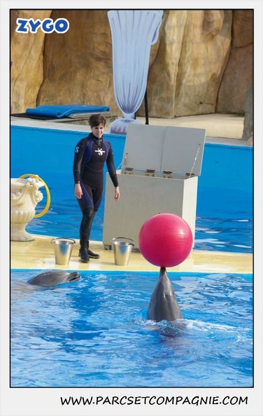 Marineland - Dauphins - Spectacle 14h30 - 0475
