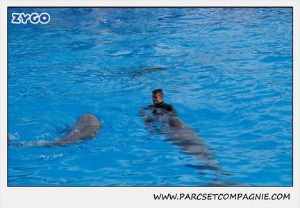 Marineland - Dauphins - Spectacle 14h30 - 0477