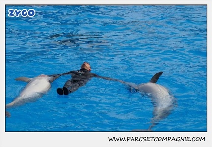 Marineland - Dauphins - Spectacle 14h30 - 0478