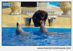 Marineland - Dauphins - Spectacle 14h30 - 0479
