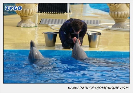 Marineland - Dauphins - Spectacle 14h30 - 0479